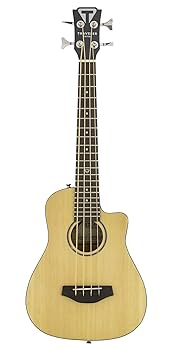 トラベラー アコースティックギターREDLANDS エレアコ仕様 Amazon.co.jp: TRAVELER GUITAR トラベラーギター エレアコ